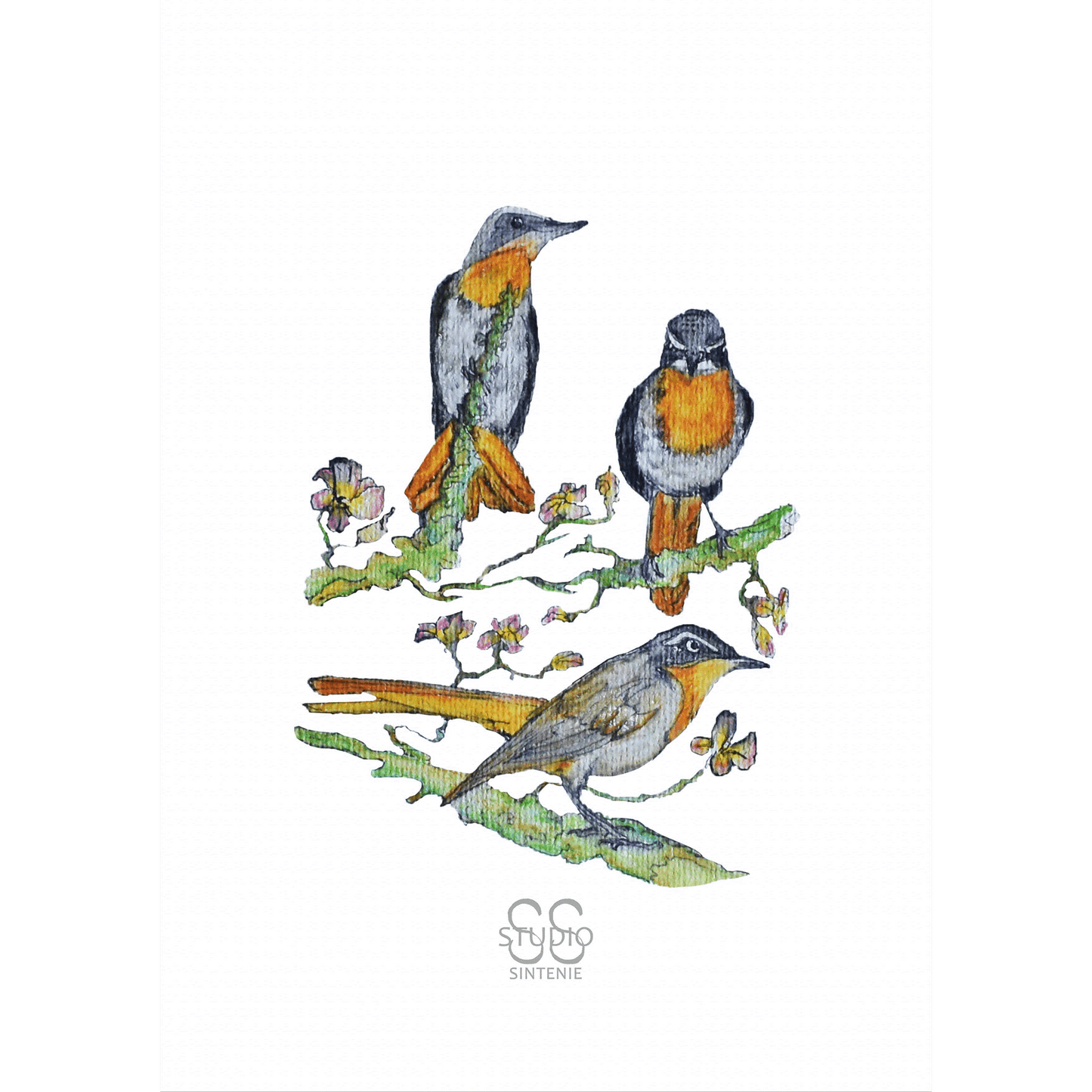 Three Robins