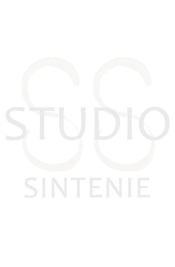 STUDIO SINTENIE